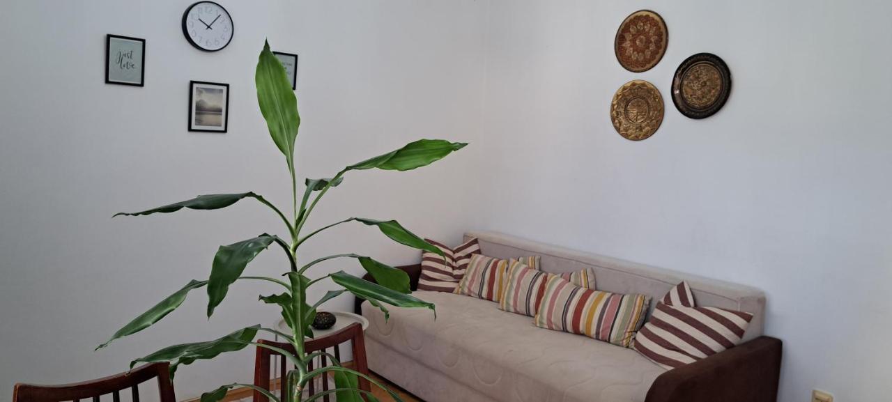 Apartment Bina Tivat Exterior photo